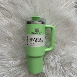 Stanley Feather Green 30oz Quencher Tumbler